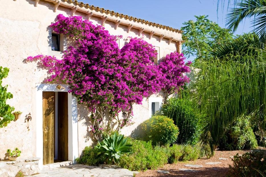 Casa Francisca * Son Macia (Mallorca)